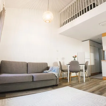 Ahkio 6 公寓 罗瓦涅米